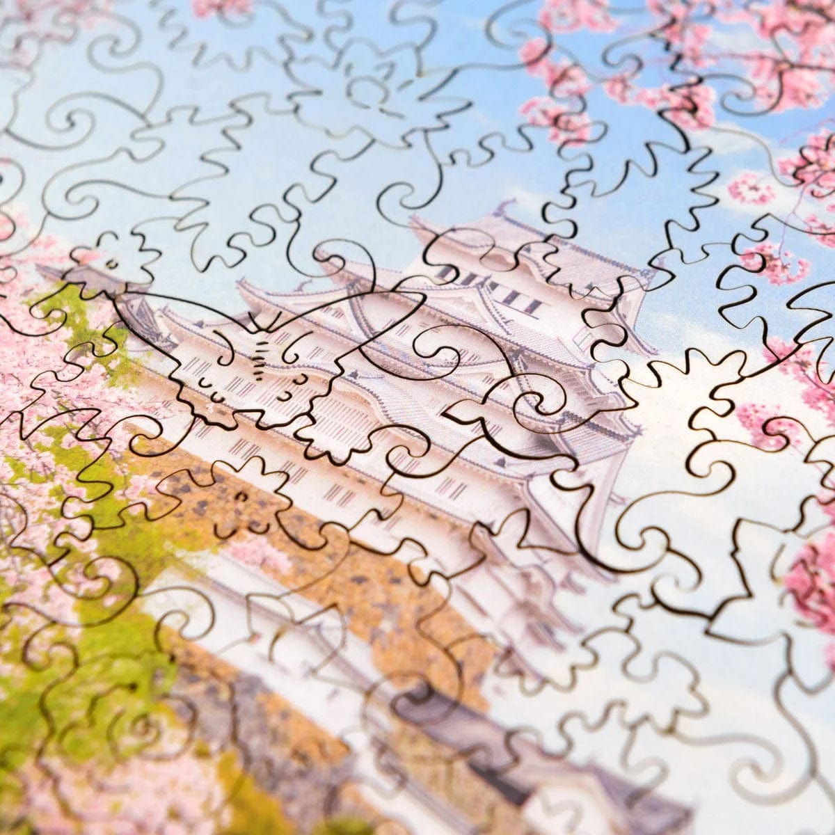 Nature Gift Set #3 (Mountain, Sakura)